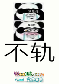 不轨的代价全集